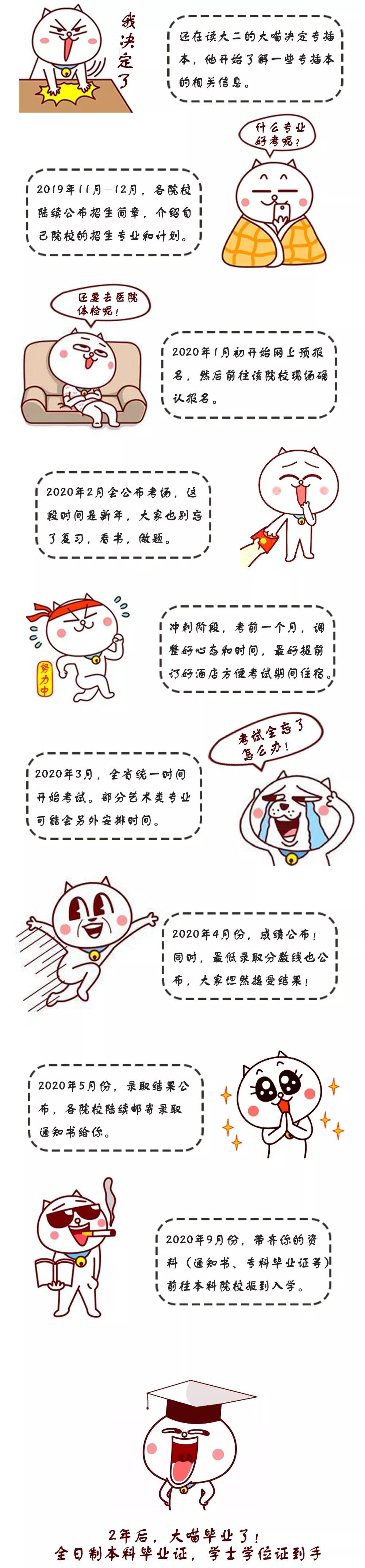 一副漫画，让你了解广东专插本的流程！